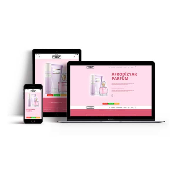 Arpaçay Web Tasarım