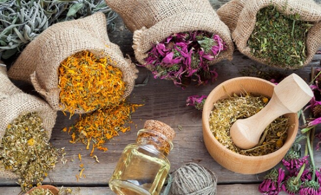 Hazır Aktar Web Sitesi