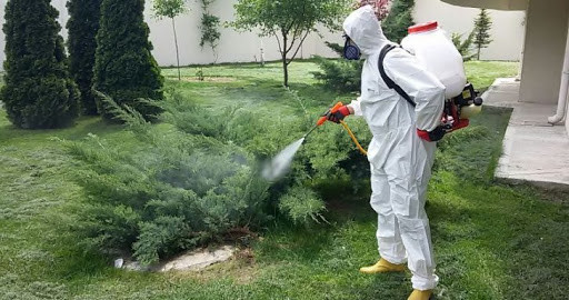 Hazır Böcek İlaçlama Web Sitesi