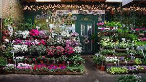 Çiçekçi Web Sitesi Kurulumu